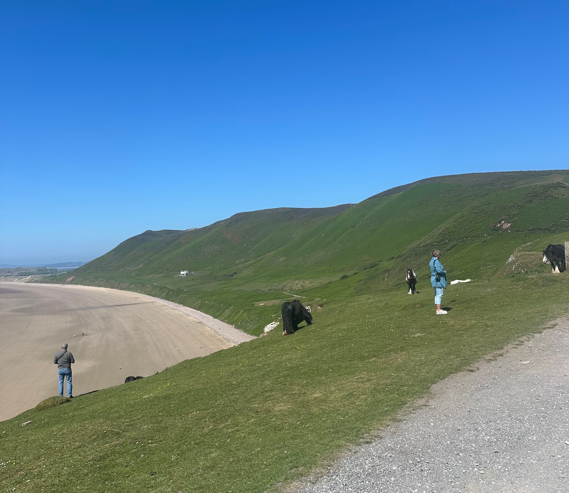 Cliffs and cove on Worm's Head