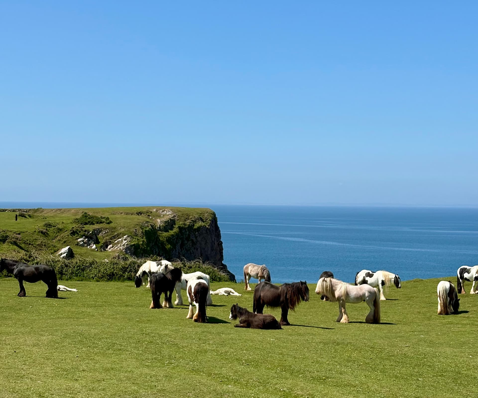 Cliffs and cove on Worm's Head