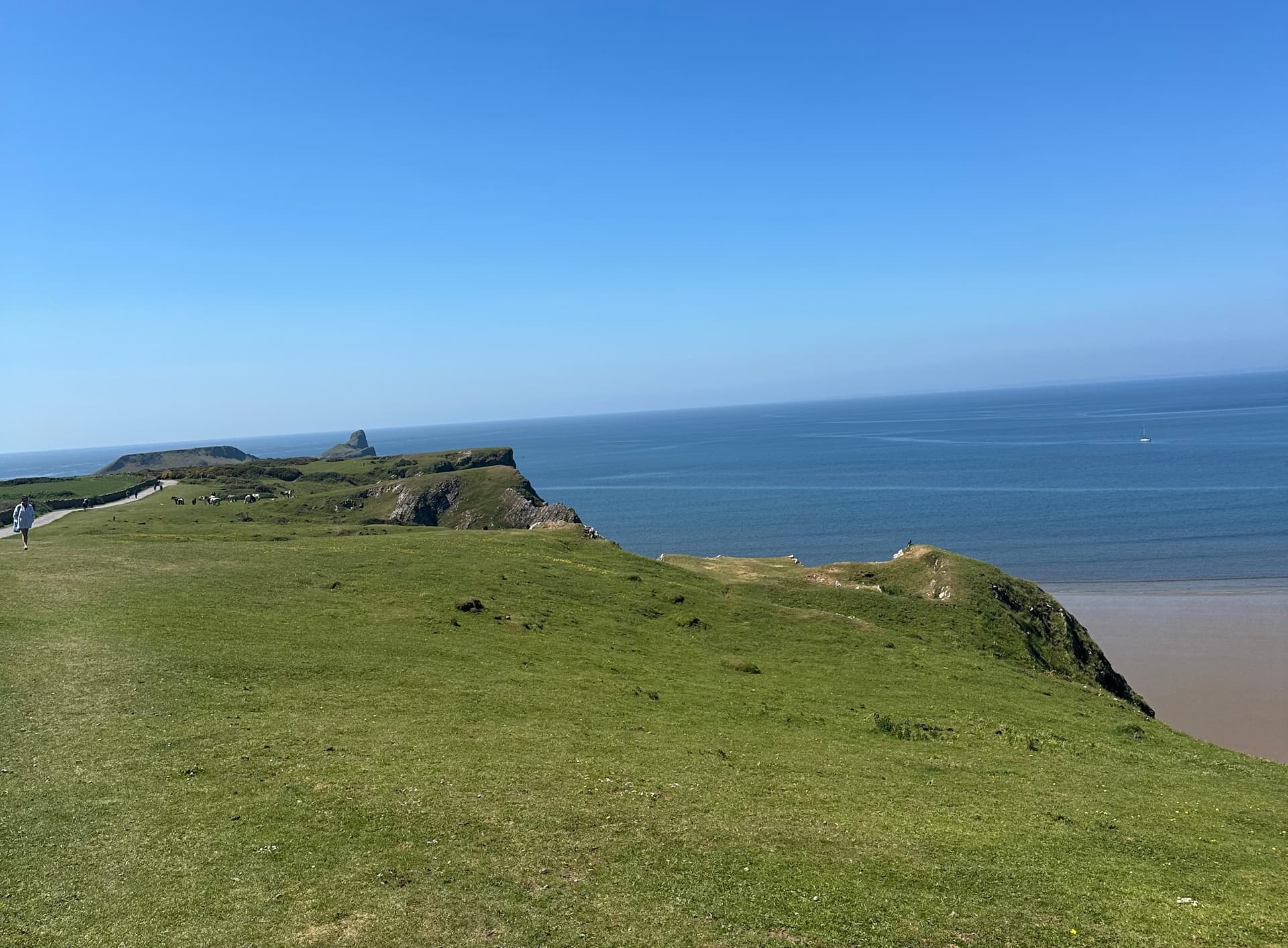 Cliffs and cove on Worm's Head